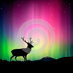 Northern lights with a deer in the foreground