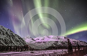 Northern lights in Denali Alaska