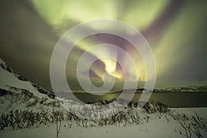 Northern Lights on the Kola Peninsula. Teriberka, Murmansk region, Russia photo