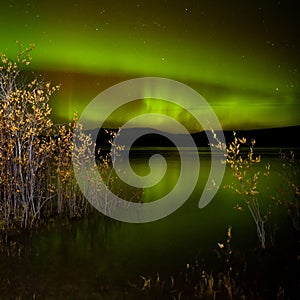 Northern lights mirrored on lake