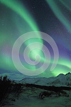 Northern lights over mountains photo