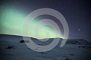 Northern lights in Reinheim Cabin, Dovrefjell National Park, Norway