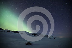 Northern lights in Reinheim Cabin, Dovrefjell National Park, Norway