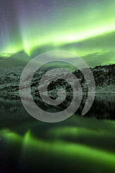 Northern lights of scandinavia portrait