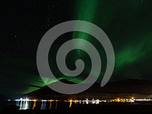 Northern lights in Seyðisfjörður. Iceland.