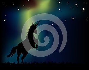 Northern Lights Unicorn