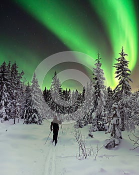 Northern lights in winter landscape