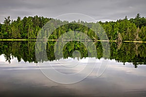 Northern Michigan Wilderness Lake Forest Reflection