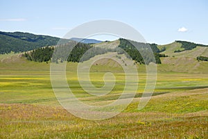 Northern Mongolian Forests and Steppes photo