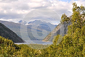 Northern Norwegian landscape