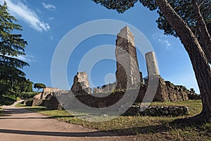 Ruins of amcient Roman emperor`s palace on the Palatine Hill, Rome, Italy photo