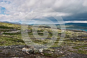 Northern polar summer in the tundra. Hill. Coast of the Arctic Ocean, Barents Sea beach, Russia