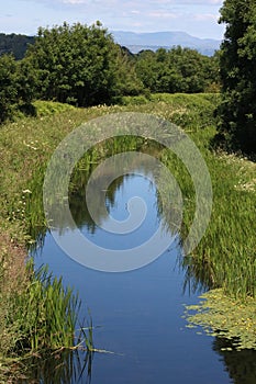 Northern reaches Lancaster canal, Burton in Holme