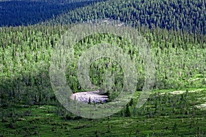 Northern Scandinavian tundra and forest tundra on plateaus photo