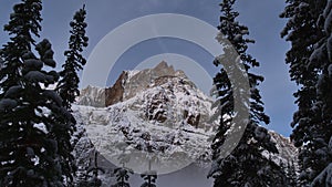 Northern snow-capped peak of Mount Edith Cavell with rock face with coniferous trees in front in Jasper National Park, Canada.