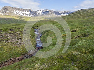 Northern summer landscape, beautiful snow covered cliffs and mountain, in Hloduvik cove with wild creek water stream photo