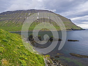 Northern summer landscape with view on beautiful snow covered cliffs, Alfsfell mountain and big bird cliff rocks in Hloduvik cove photo