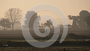 Northern Thailand Countryside: Serene Natural Atmosphere with Fields and Mountains