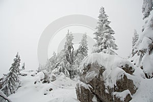 Northern Velebit National park covered with snow.