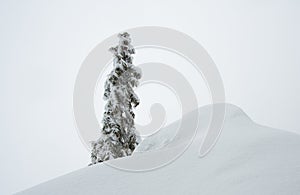 Northern Velebit National park covered with snow.