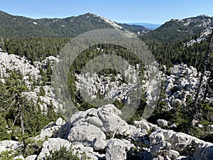 Northern Velebit national park in Croatia.