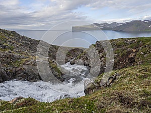 Northern wild summer landscape, View on beatuful cliffs in Hloduvik cove in west fjords nature reserve Hornstrandir in Iceland, photo