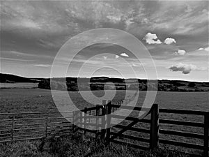 Northumberland Country Landscape In Black And White. England