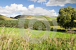 Northumberland hills