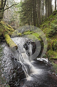 Hindhope Linn waterfall at Rochester, Northumberland, UK photo