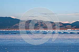 Northwest Argentina - Salinas Grandes Desert Landscape