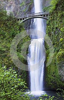 Northwest Pacific Waterfalls within Oregon State