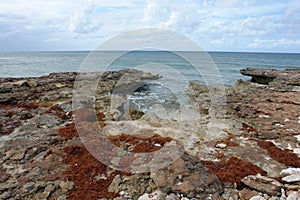 Northwest Point Nature Reserve Turks & Caicos