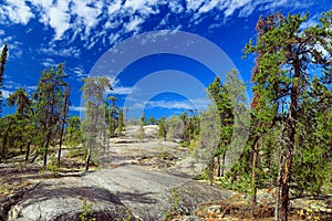 Northwest Territories, Canada - Hiking on Canadian Shield in Prospect Lake Territorial Park