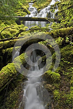 Northwest waterfall stream