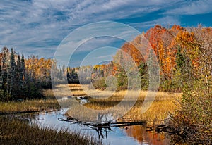 A Northwoods Stream Amidst Beautiful Autumn Colors