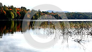 Norton Pond Fall Foliage