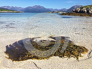 Norway beaches