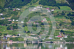 Norway cider land