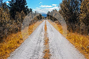 Norway countyside autumn road background