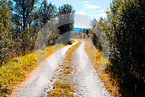 Norway countyside autumn road background