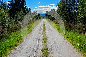 Norway countyside summer road background