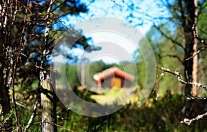 Norway distant farm house in woods background