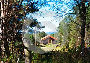 Norway distant farm house in woods background