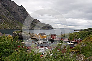 Norway, fjord scenic