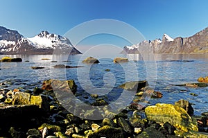 Norway fjord in Senja, Norway