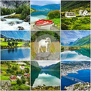 Norway, goat in natural landscapes, collage