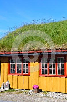 Norway grass sod roof