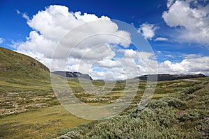 Norway landscape nature background green country mountain norwegian countryside journey travel environment summer blue sky