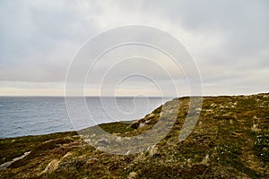Norway landscape with rocky shore of the Northern sea in cloudy weather