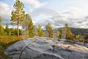 Norway. Landscape with trees and large stones in the foreground